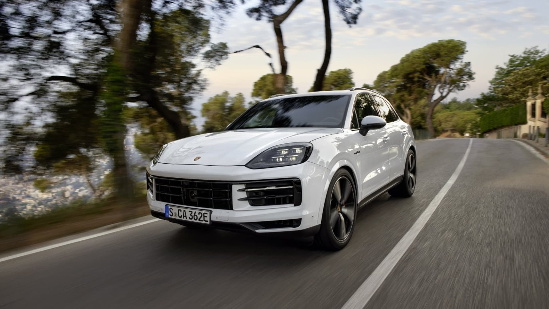 Weißer Porsche Cayenne S E-Hybrid auf einer von Pinien gesäumten Straße im Licht des späten Nachmittags